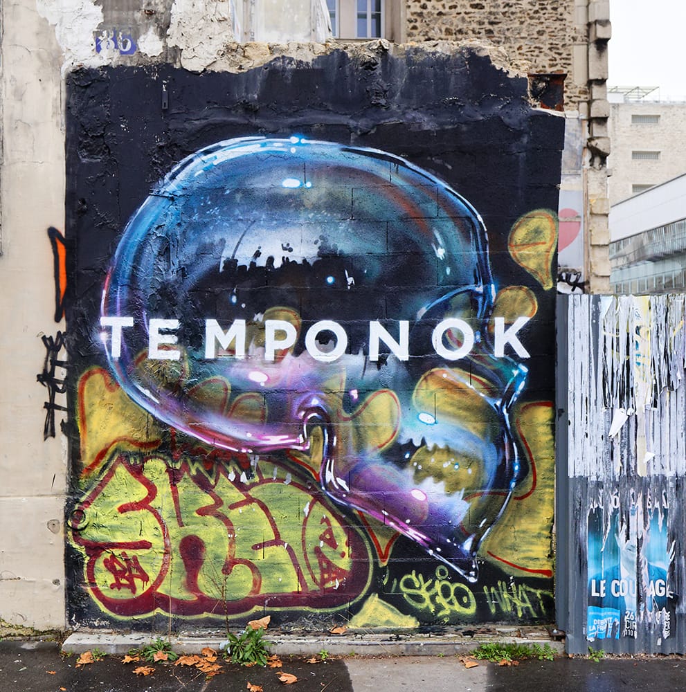 Temponok : une introspection universelle en toute transparence